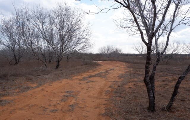 464  Cr354, Charlotte, TX 78011 — photo 22