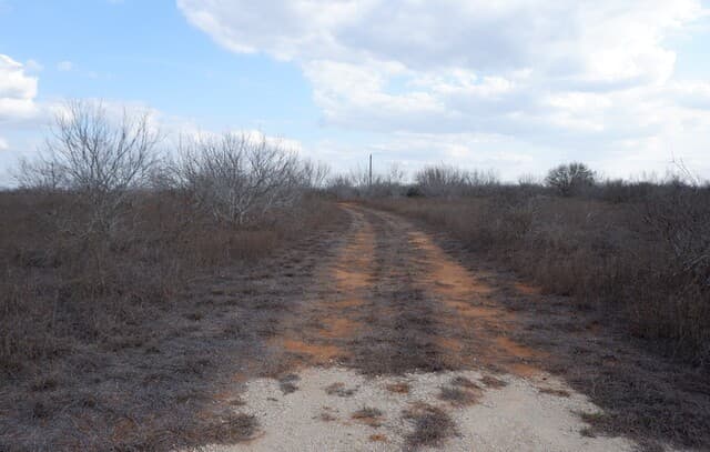464  Cr354, Charlotte, TX 78011 — photo 23