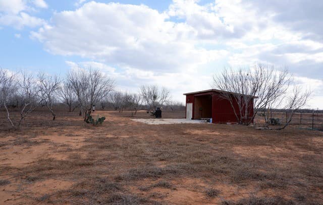464  Cr354, Charlotte, TX 78011 — photo 8