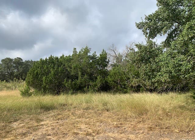 523  Oak Shores Dr, Canyon Lake, TX 78133 — photo 21