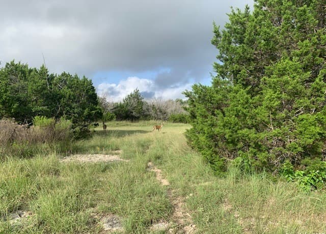 523  Oak Shores Dr, Canyon Lake, TX 78133 — photo 23