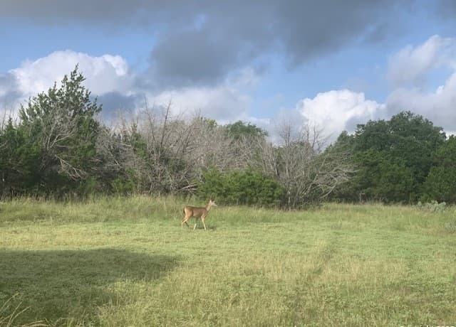 523  Oak Shores Dr, Canyon Lake, TX 78133 — photo 24