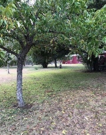 580  Cr 663, Devine, TX 78016 — photo 7