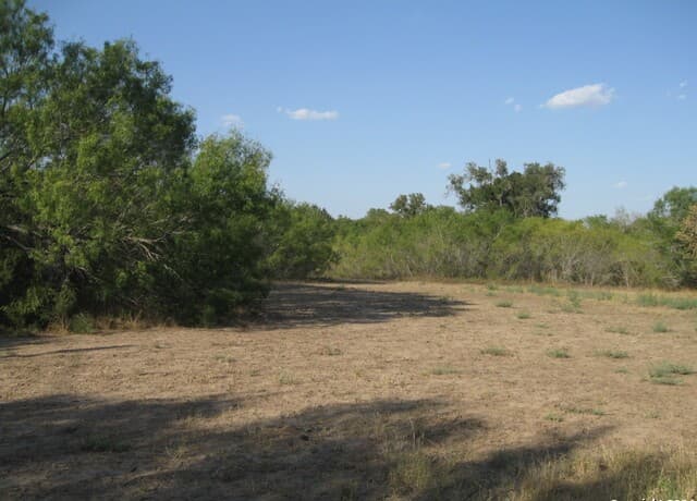 580  Cr 663, Devine, TX 78016 — photo 8