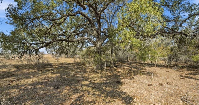 TBD  Hohn Road