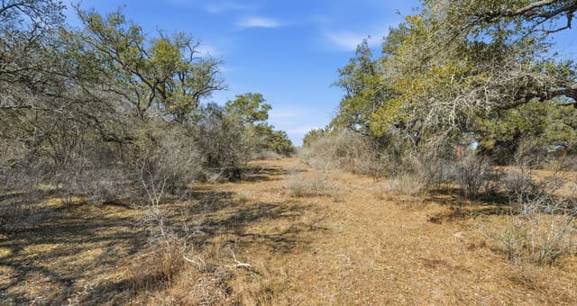TBD  Hohn Road, Nordheim, TX 78141 — photo 10