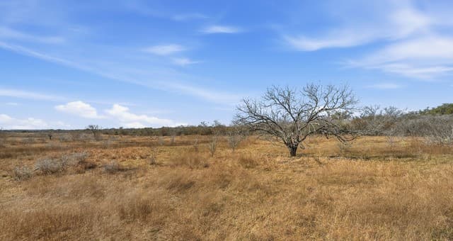 TBD  Hohn Road, Nordheim, TX 78141 — photo 11