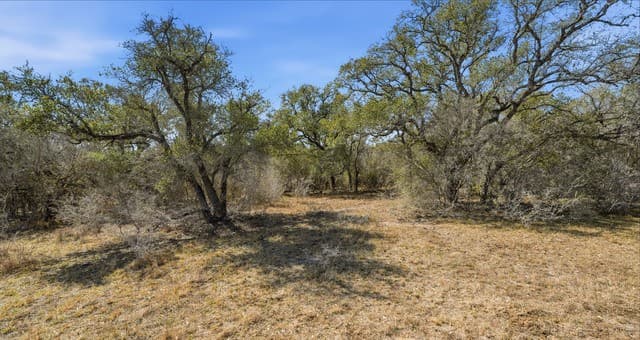TBD  Hohn Road, Nordheim, TX 78141 — photo 12