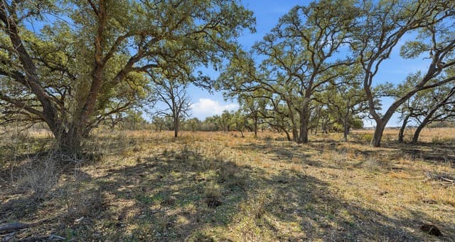TBD  Hohn Road, Nordheim, TX 78141 — photo 6