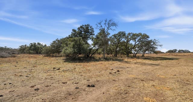 TBD  Hohn Road, Nordheim, TX 78141 — photo 7