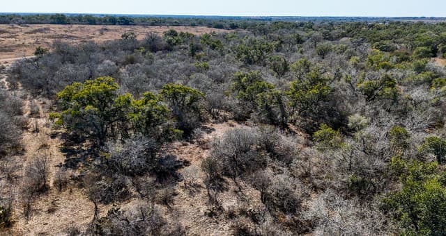 TBD  Hohn Road, Nordheim, TX 78141 — photo 9