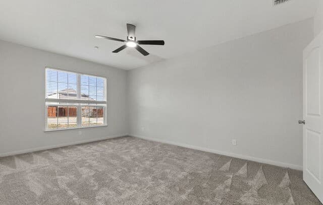 6341  Hibiscus, New Braunfels, TX 78132 — photo 14