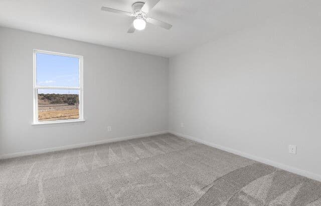 6341  Hibiscus, New Braunfels, TX 78132 — photo 19