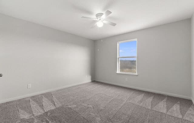 6341  Hibiscus, New Braunfels, TX 78132 — photo 20