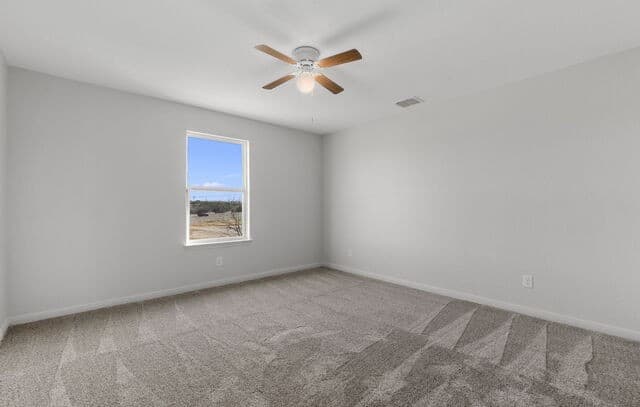 6341  Hibiscus, New Braunfels, TX 78132 — photo 22
