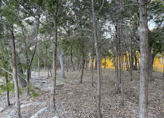 209 Legacy, Canyon Lake, TX 78133