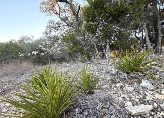 209  Legacy, Canyon Lake, TX 78133 — photo 3