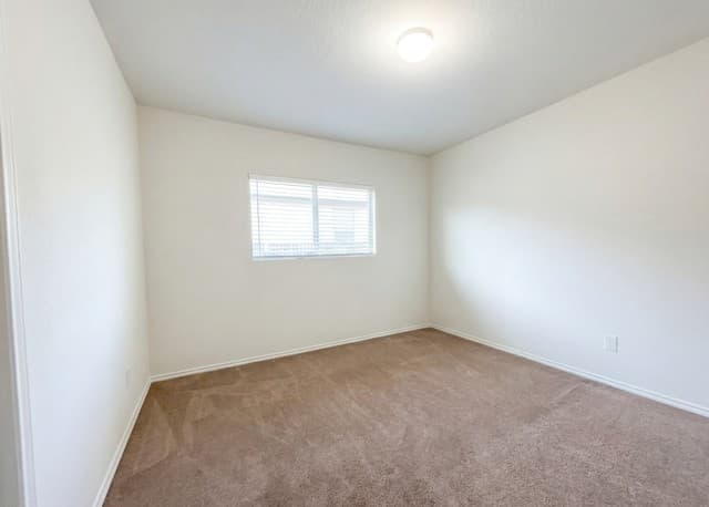 16114  Julep Chase, Selma, TX 78154 — photo 10