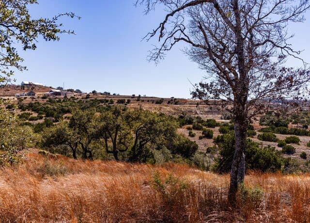 717 N Scenic Hills Court, Blanco, TX 78606 — photo 14
