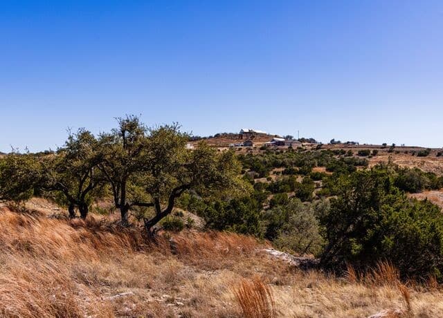 717 N Scenic Hills Court, Blanco, TX 78606 — photo 16