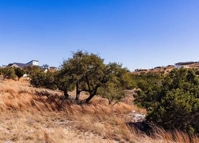 717 N Scenic Hills Court, Blanco, TX 78606 — photo 19