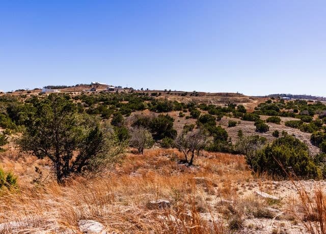 717 N Scenic Hills Court, Blanco, TX 78606 — photo 20