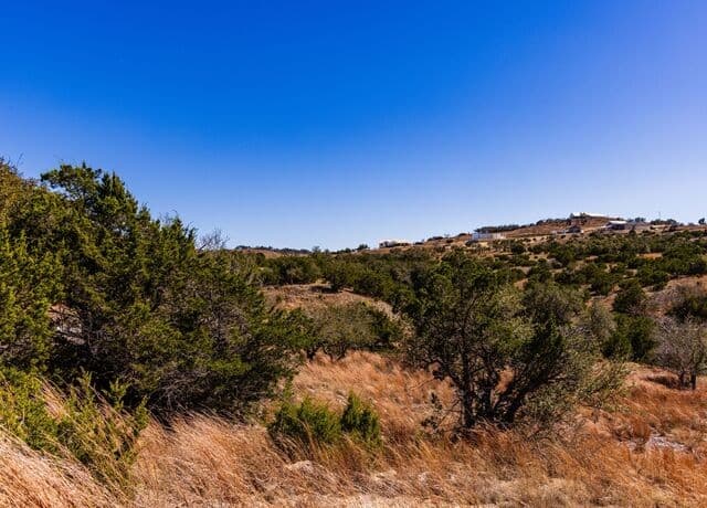 717 N Scenic Hills Court, Blanco, TX 78606 — photo 21