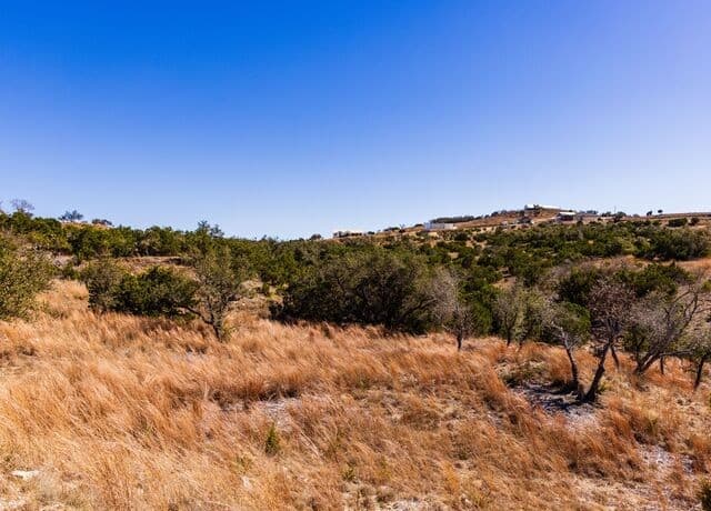 717 N Scenic Hills Court, Blanco, TX 78606 — photo 22