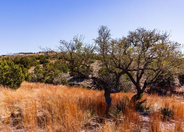 717 N Scenic Hills Court, Blanco, TX 78606 — photo 24