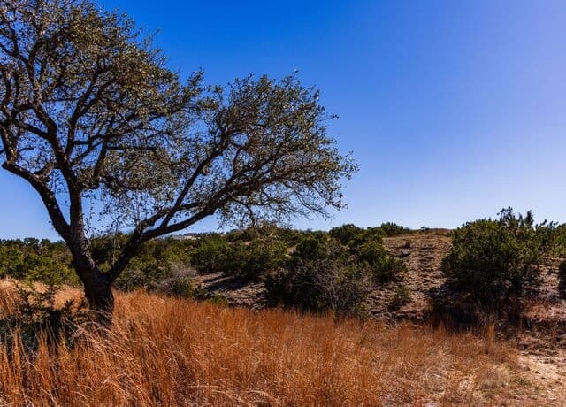 717 N Scenic Hills Court, Blanco, TX 78606 — photo 25