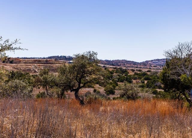 717 N Scenic Hills Court, Blanco, TX 78606 — photo 9