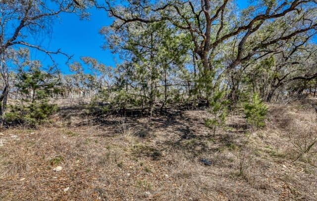6914  Bluff Run, San Antonio, TX 78257 — photo 2