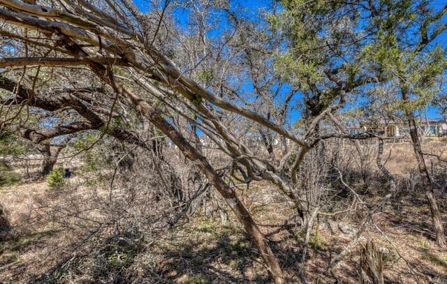 6914  Bluff Run, San Antonio, TX 78257 — photo 4