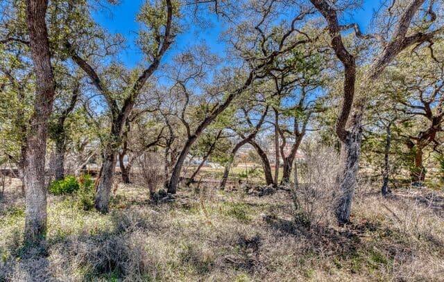 6914  Bluff Run, San Antonio, TX 78257 — photo 9
