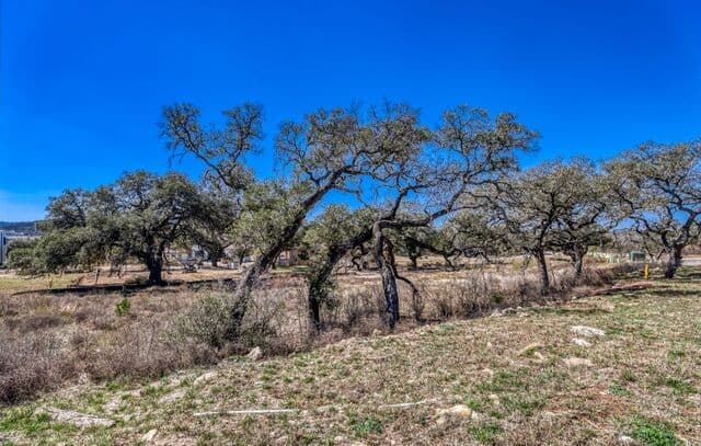 6922  Bluff Run, San Antonio, TX 78257 — photo 5