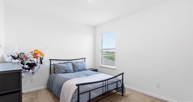 3923  Trail De Paris, New Braunfels, TX 78132 — photo 21