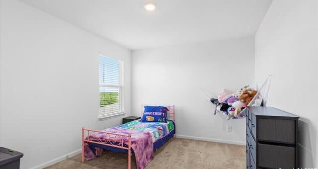 3923  Trail De Paris, New Braunfels, TX 78132 — photo 23