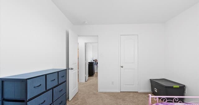 3923  Trail De Paris, New Braunfels, TX 78132 — photo 24