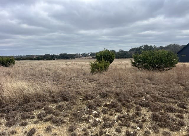 220  Peter Kleid, Blanco, TX 78606