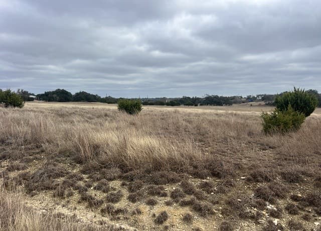 220  Peter Kleid, Blanco, TX 78606 — photo 3