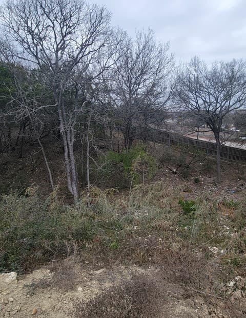 14918  Medusa, Selma, TX 78154 — photo 11