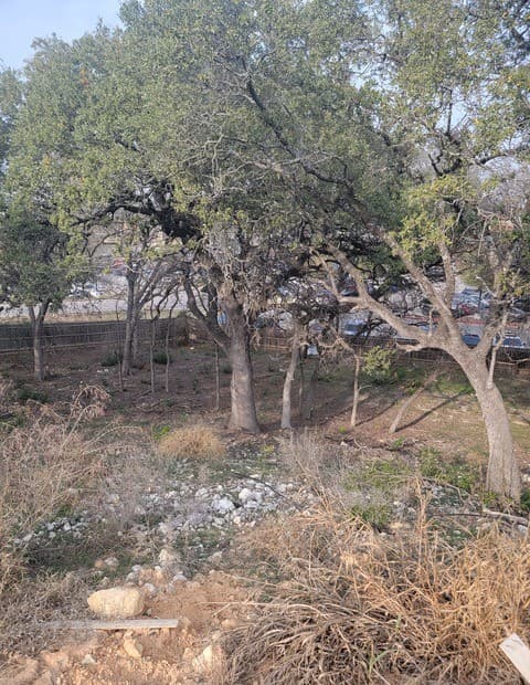 14918  Medusa, Selma, TX 78154 — photo 15