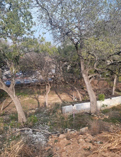 14918  Medusa, Selma, TX 78154 — photo 16
