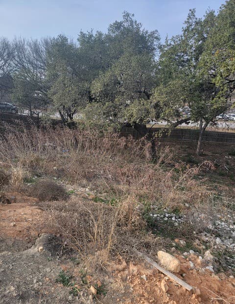 14918  Medusa, Selma, TX 78154 — photo 18
