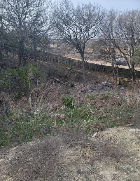 14918  Medusa, Selma, TX 78154 — photo 19