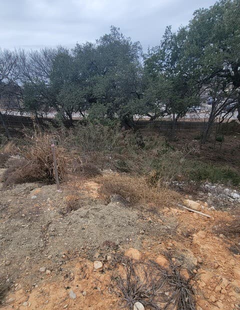 14918  Medusa, Selma, TX 78154 — photo 8