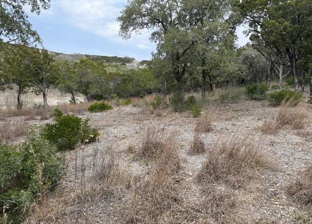 LOT 45  Pr 2775, Mico, TX 78056 — photo 10