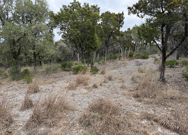 LOT 45  Pr 2775, Mico, TX 78056 — photo 3