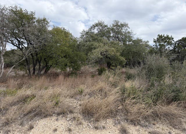 LOT 45  Pr 2775, Mico, TX 78056 — photo 6