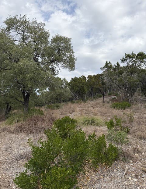 LOT 45  Pr 2775, Mico, TX 78056 — photo 8